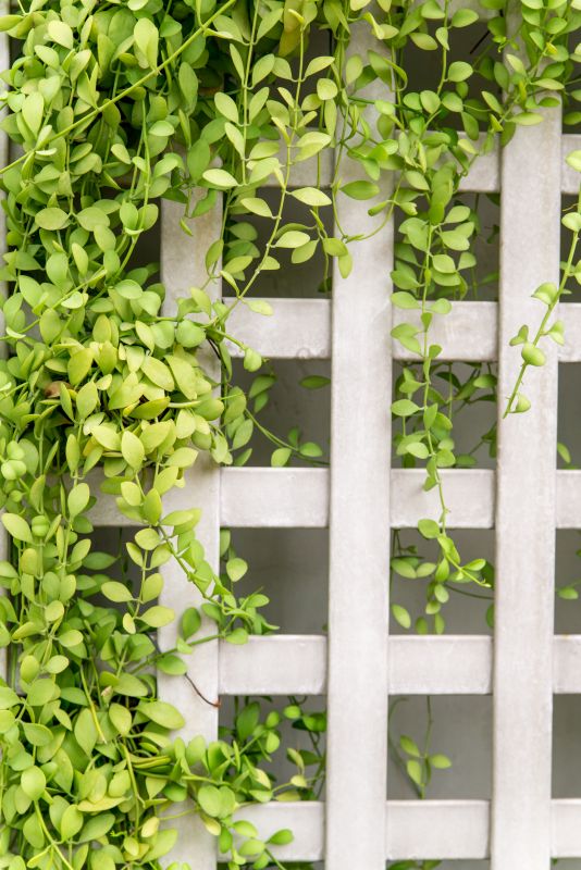 Garden Trellis Installation in Wilmington, NC